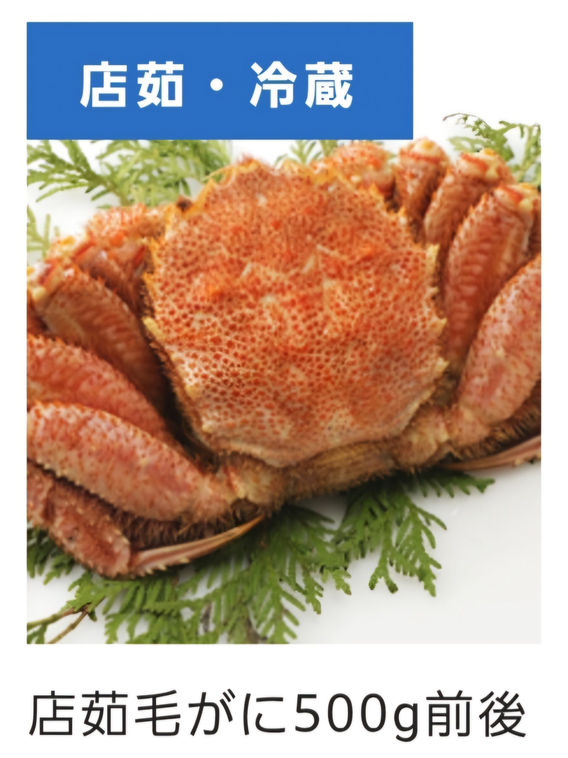 □(店茹・冷蔵)毛がに500g前後